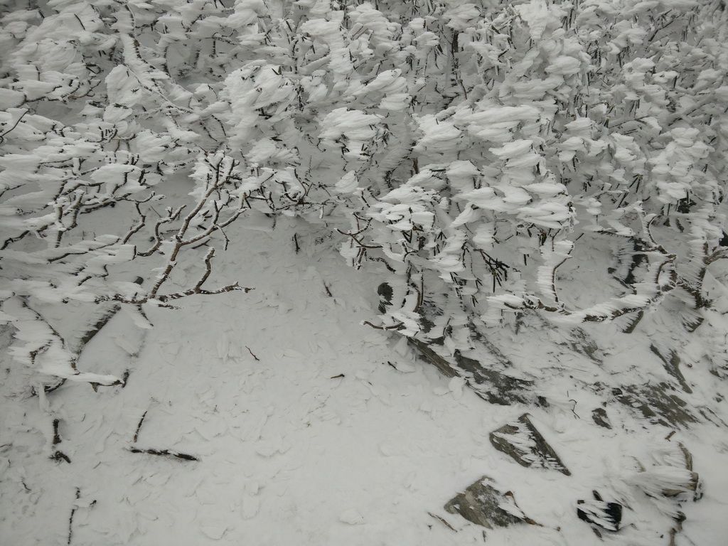 苍山雪