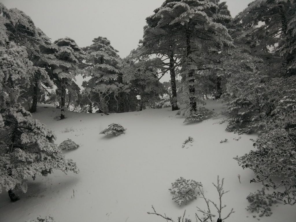 苍山雪