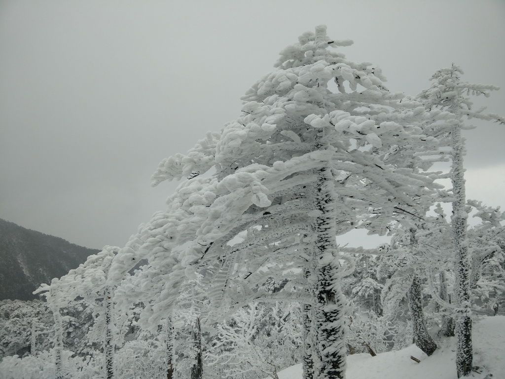 苍山雪